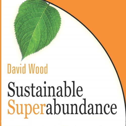 Sustainable Superabundance: A Universal Transhumanist Invitation information and news