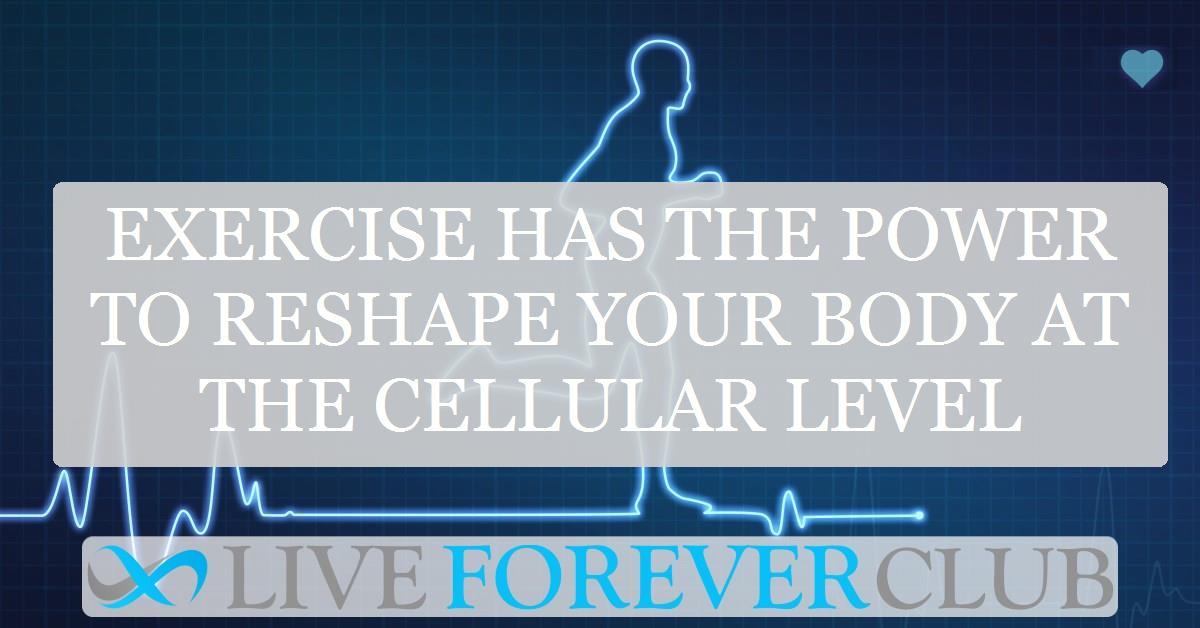 Exercise has the power to reshape your body at the cellular level