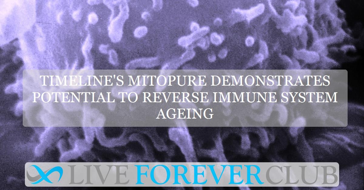 Timeline's Mitopure demonstrates potential to reverse immune system ageing