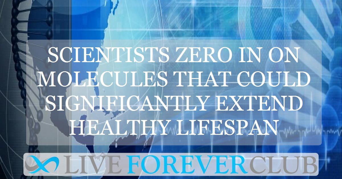 Scientists zero in on molecules that could significantly extend healthy lifespan