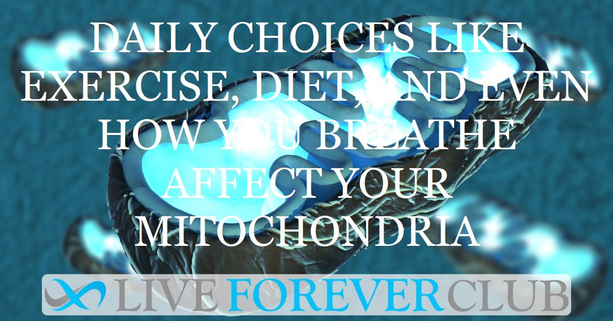 Daily choices like exercise, diet, and even how you breathe affect your mitochondria