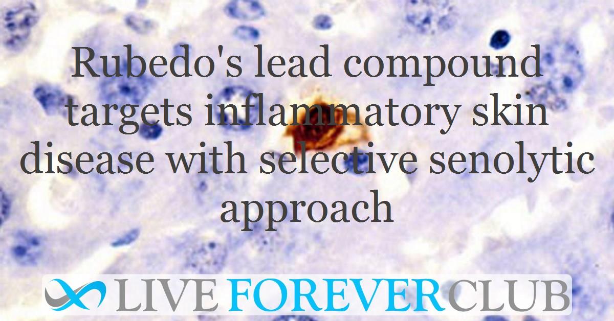 Rubedo's lead compound targets inflammatory skin disease with selective senolytic approach