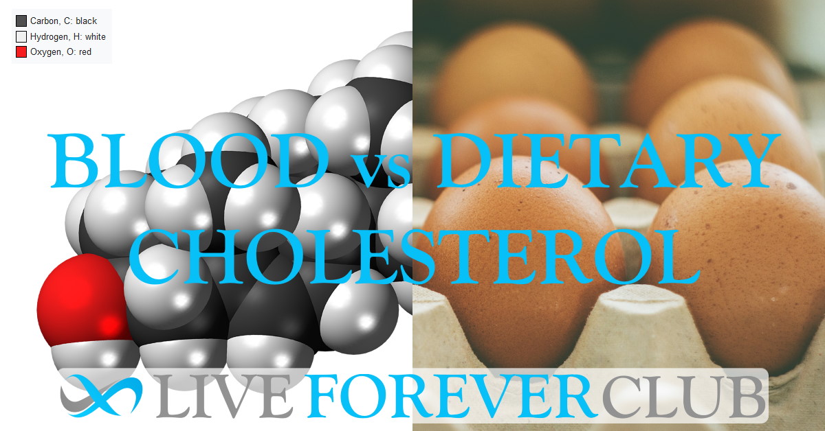 dietary cholesterol vs blood cholesterol