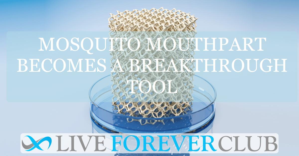 Mosquito mouthpart becomes a breakthrough tool