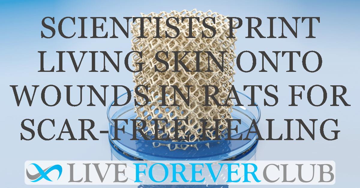 Scientists print living skin onto wounds in rats for scar-free healing