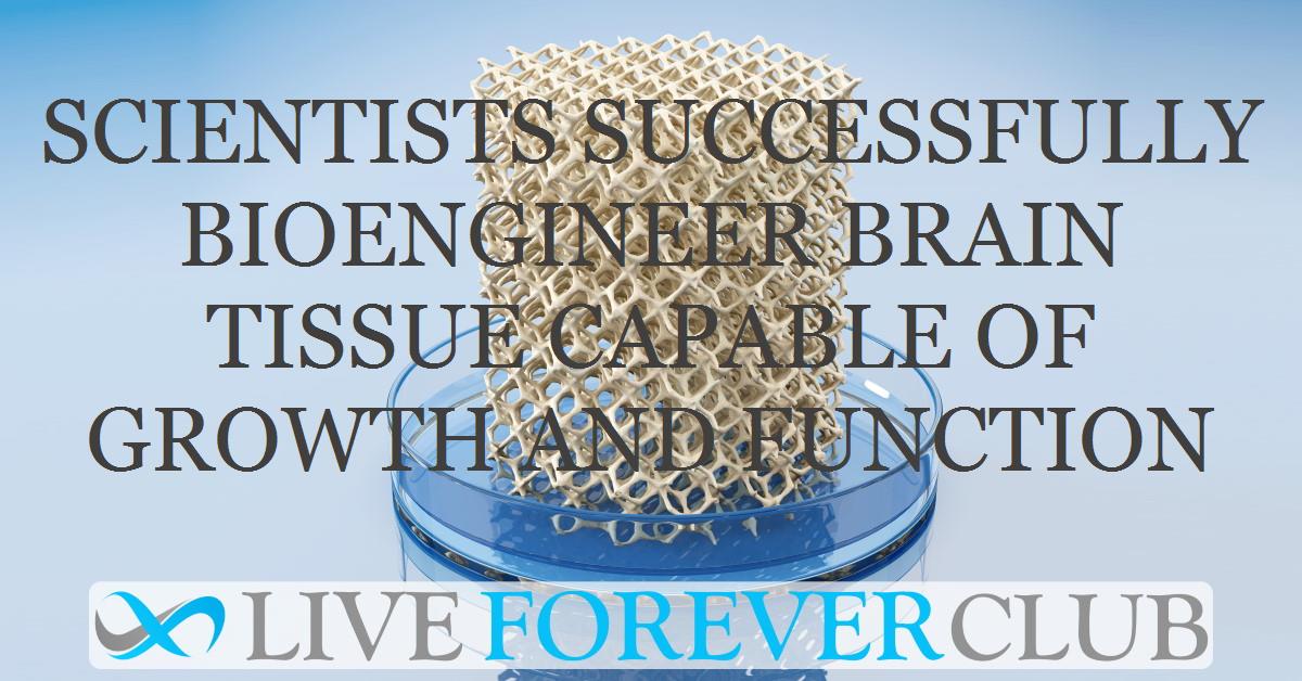 Scientists successfully bioengineer brain tissue capable of growth and function