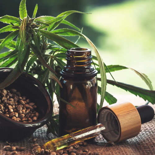 More Cannabidiol (CBD) information, news and resources