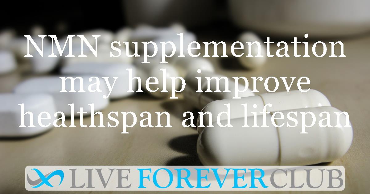 New study finds NMN supplementation may help improve healthspan and lifespan