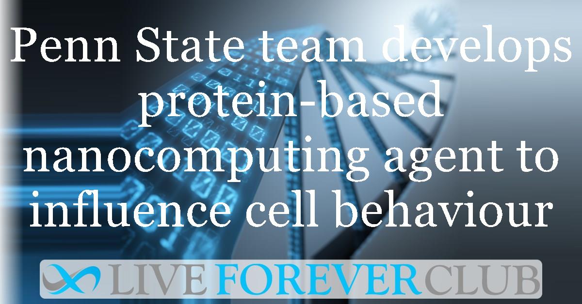Penn State team develops protein-based nanocomputing agent to influence cell behaviour