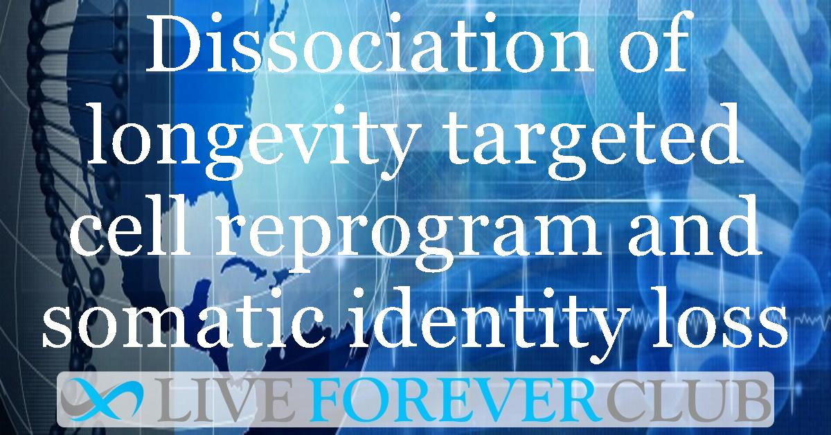 Dissociation of longevity targeted cell reprogram and somatic identity loss: An exploration