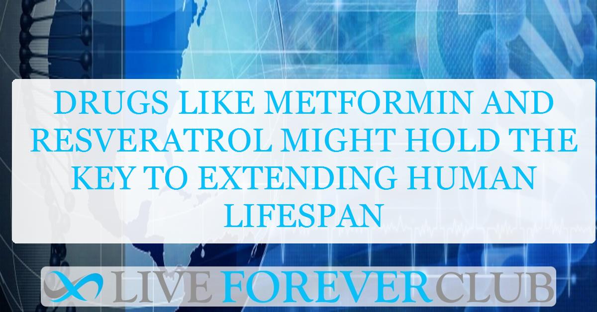 Drugs like metformin and resveratrol might hold the key to extending human lifespan