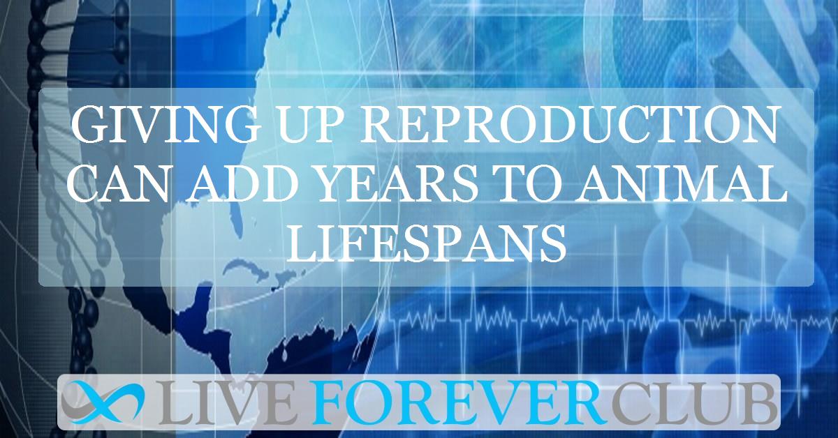 Giving up reproduction can add years to animal lifespans