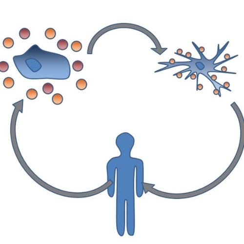 More Immunotherapy information, news and resources