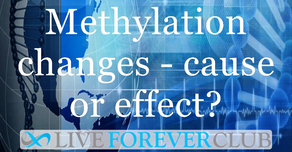 Josh Mitteldorf argues for the minority view on methylation changes