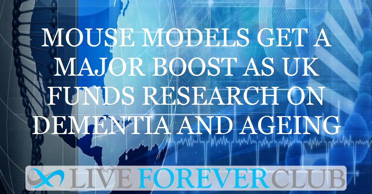 Mouse models get a major boost as UK funds research on dementia and ageing