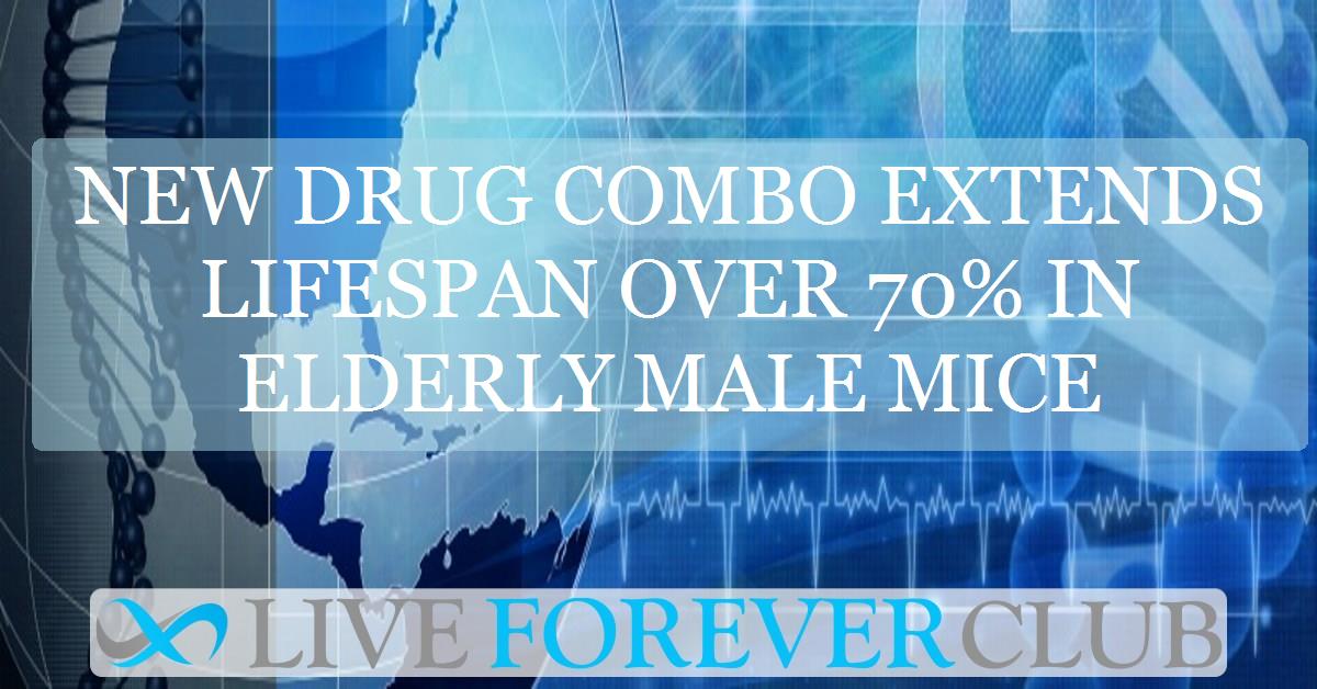 New drug combo extends lifespan over 70% in elderly male mice