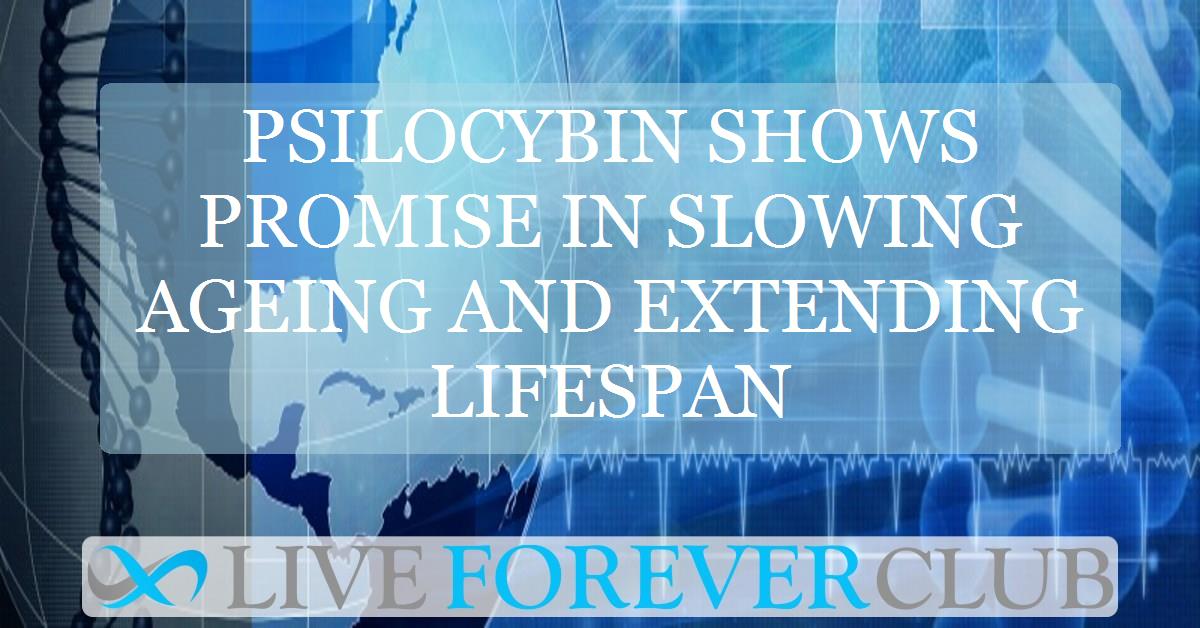 Psilocybin shows promise in slowing ageing and extending lifespan