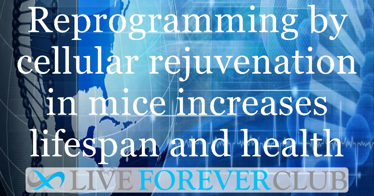 Reprogramming by cellular rejuvenation in mice increases lifespan and health