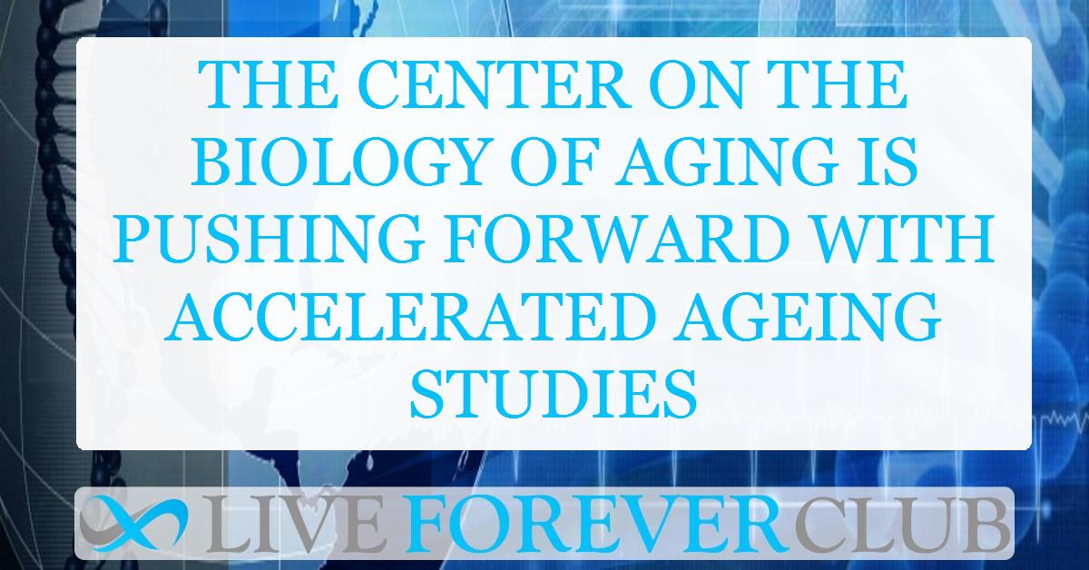 The Center on the Biology of Aging is pushing forward with accelerated ageing studies