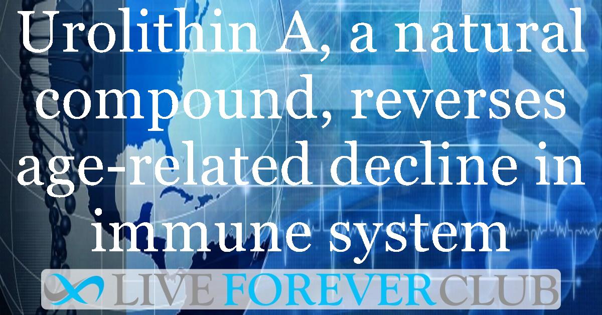 Urolithin A, a natural compound, reverses age-related decline in immune system