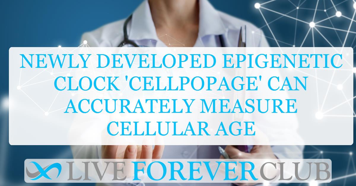 Newly developed epigenetic clock 'CellPopAge' can accurately measure cellular age