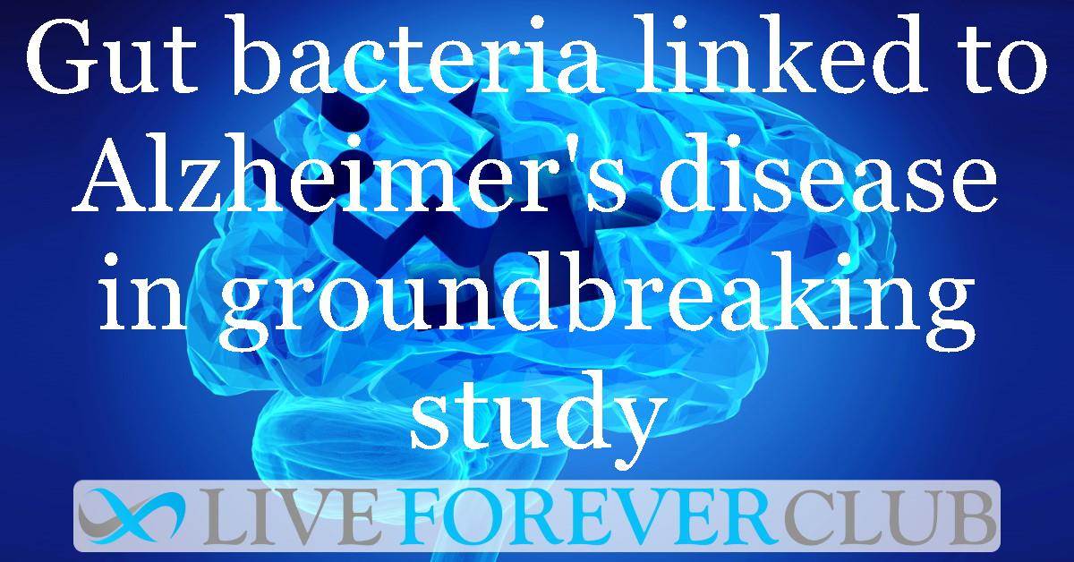 Gut bacteria linked to Alzheimer's disease in groundbreaking study