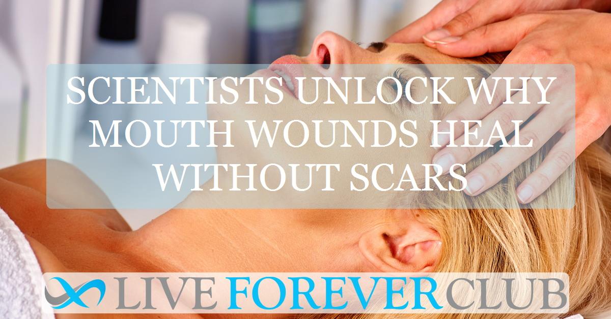 Scientists unlock why mouth wounds heal without scars