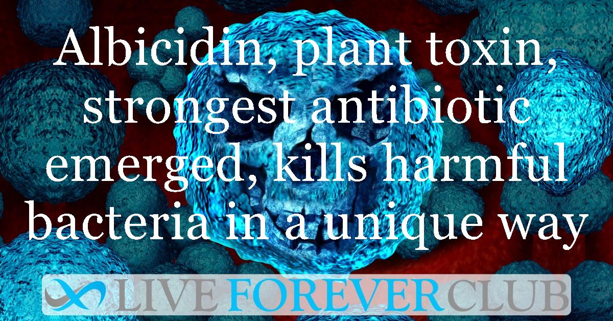 Albicidin, plant toxin, strongest antibiotic emerged, kills harmful bacteria in a unique way
