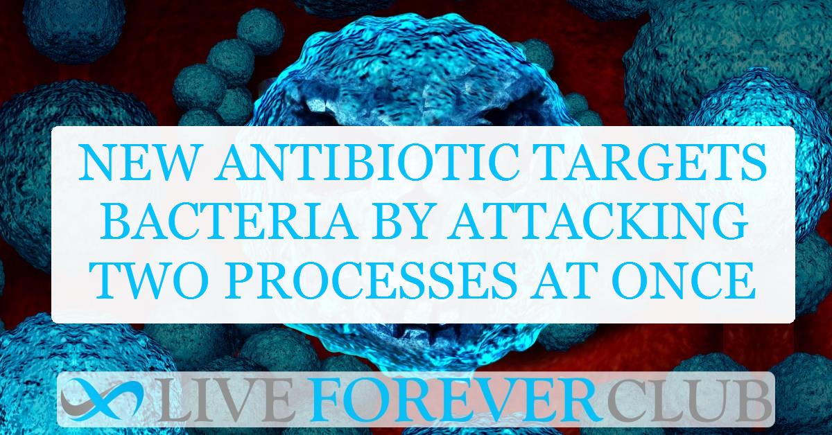 New antibiotic targets bacteria by attacking two processes at once