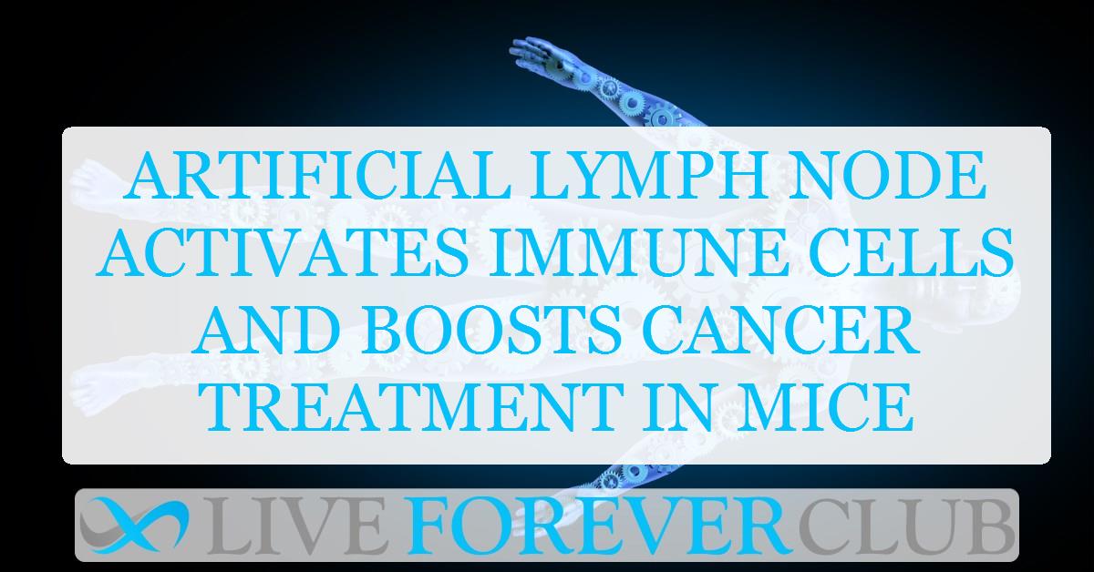 Artificial lymph node activates immune cells and boosts cancer treatment in mice