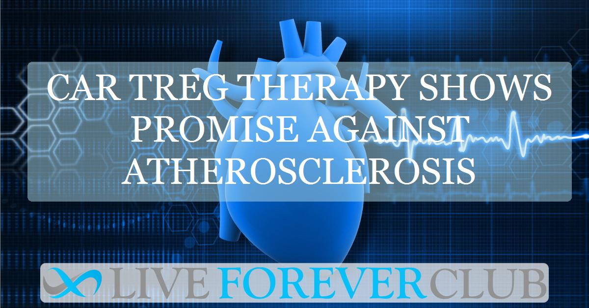 CAR Treg Therapy Shows Promise Against Atherosclerosis