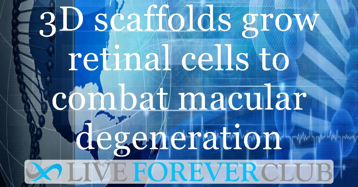 3D scaffolds grow retinal cells to combat macular degeneration