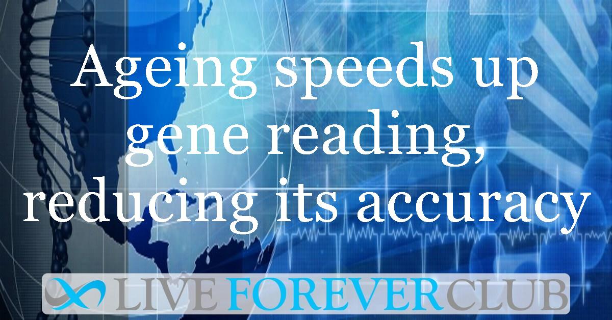 Ageing speeds up gene reading, reducing its accuracy