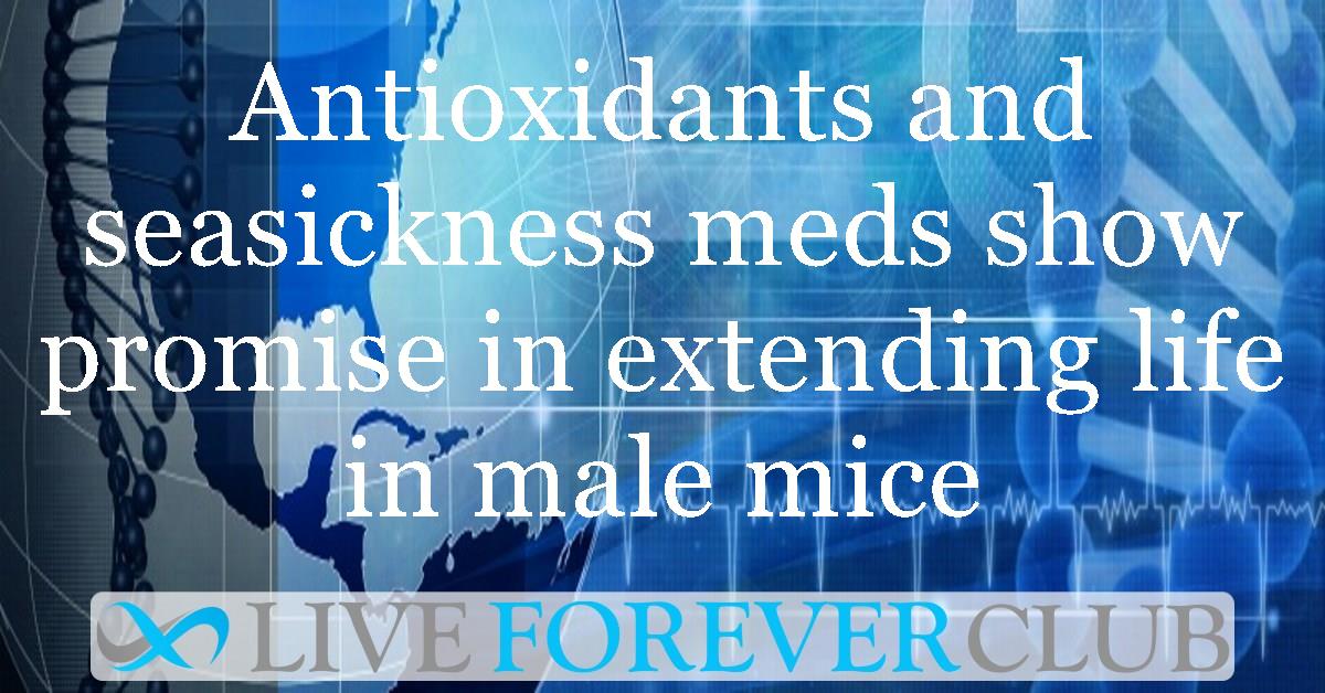 Antioxidants and seasickness meds show promise in extending life in male mice