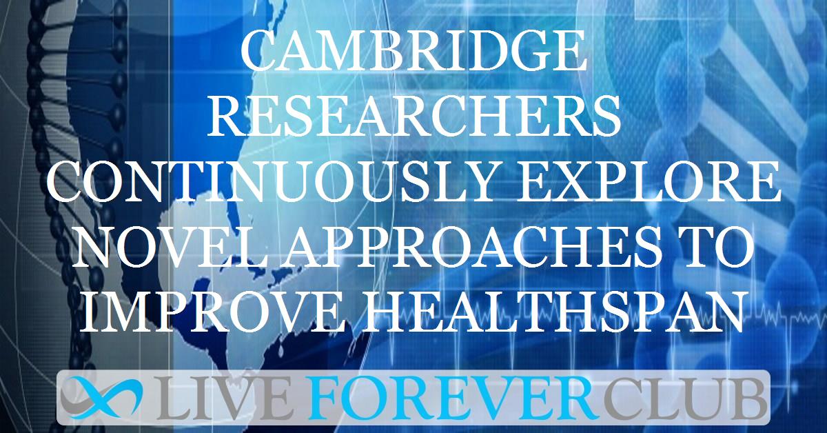 Cambridge researchers continuously explore novel approaches to improve healthspan