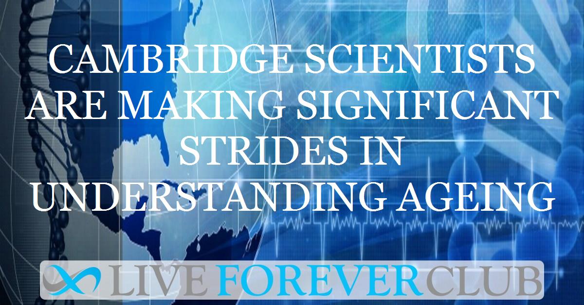 Cambridge scientists are making significant strides in understanding ageing