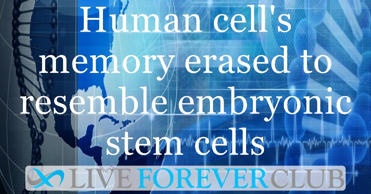 Human cell's memory erased to resemble embryonic stem cells