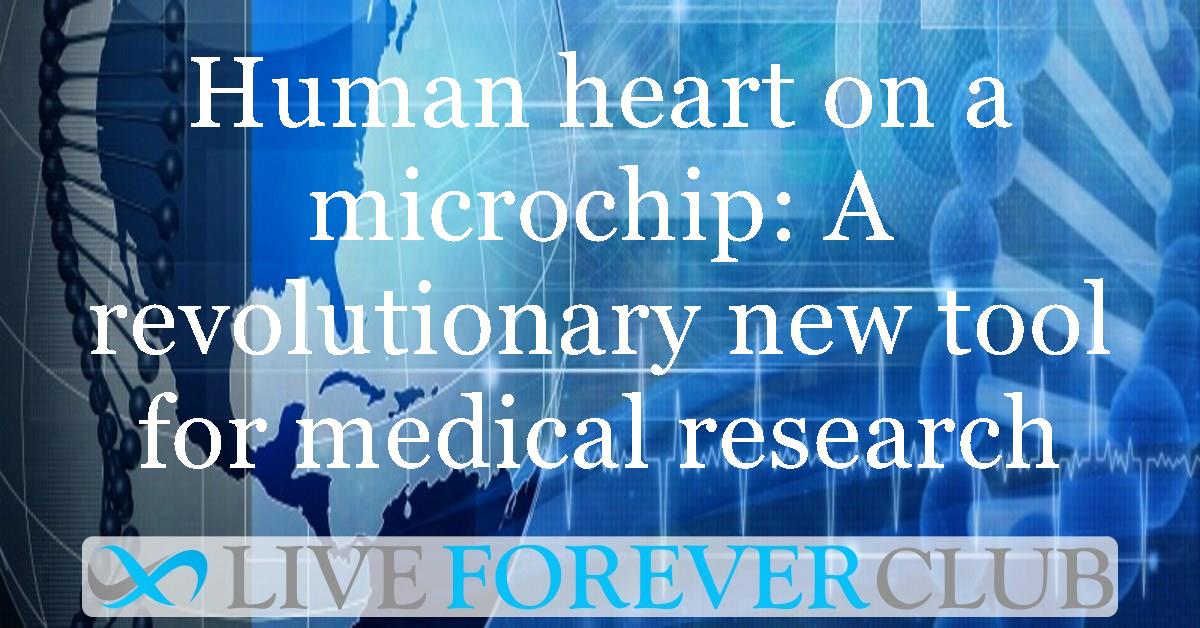 Human heart on a microchip: A revolutionary new tool for medical research