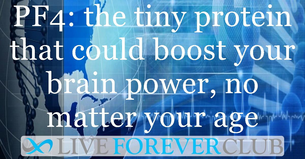 PF4: the tiny protein that could boost your brain power, no matter your age