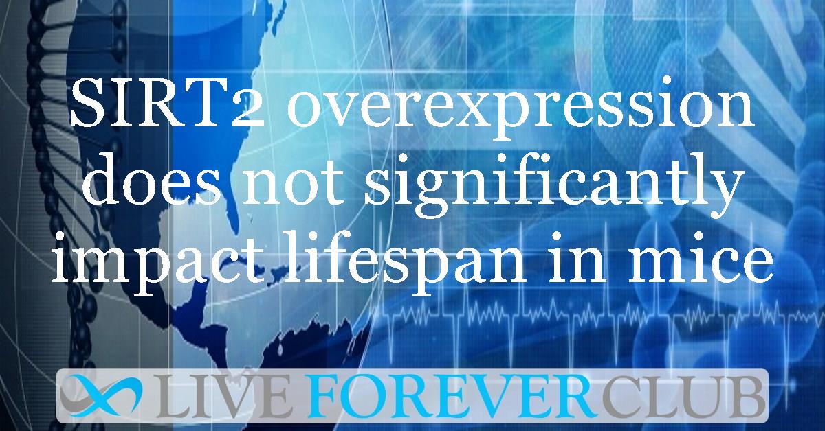 SIRT2 overexpression does not significantly impact lifespan in mice
