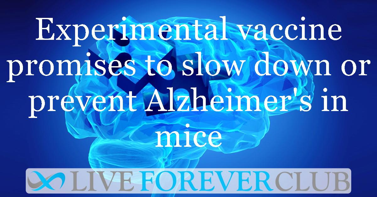 Experimental vaccine promises to slow down or prevent Alzheimer's in mice