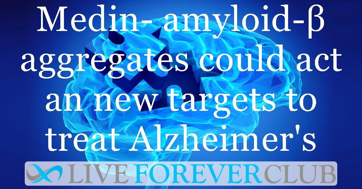 Medin- amyloid-β aggregates could act an new targets to therapeutically treat Alzheimer's