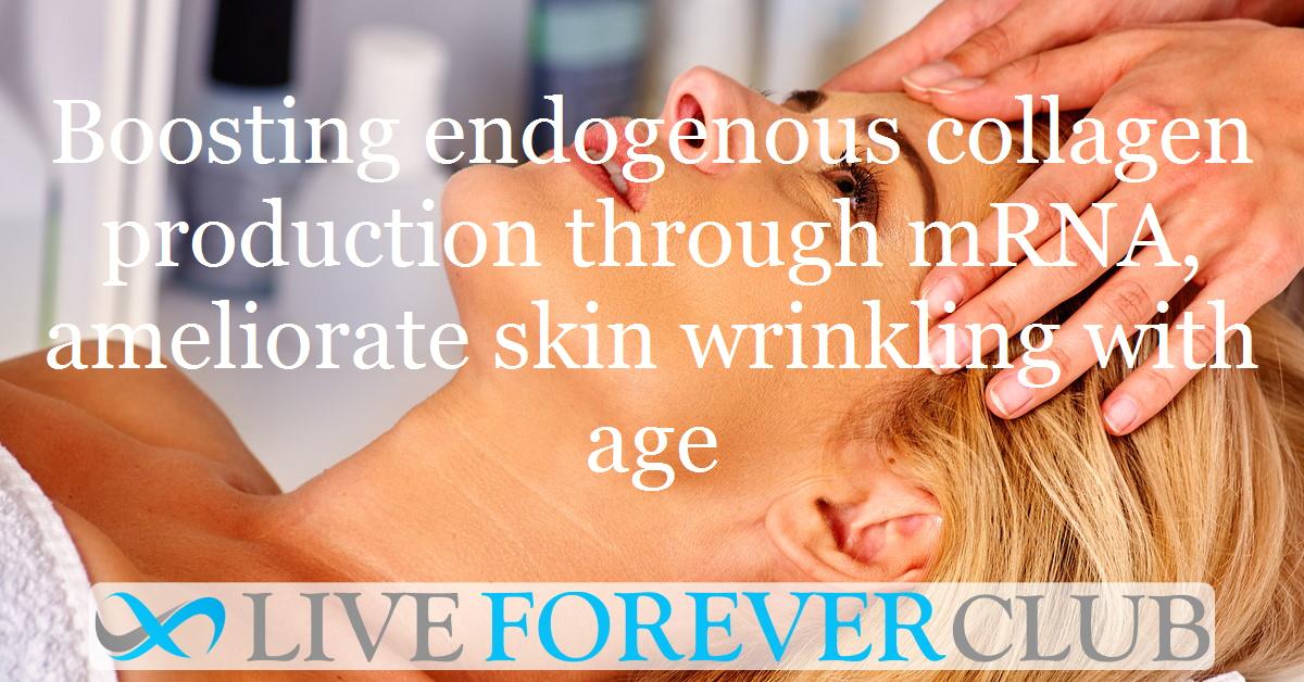 Boosting endogenous collagen production through mRNA, ameliorate skin wrinkling with age