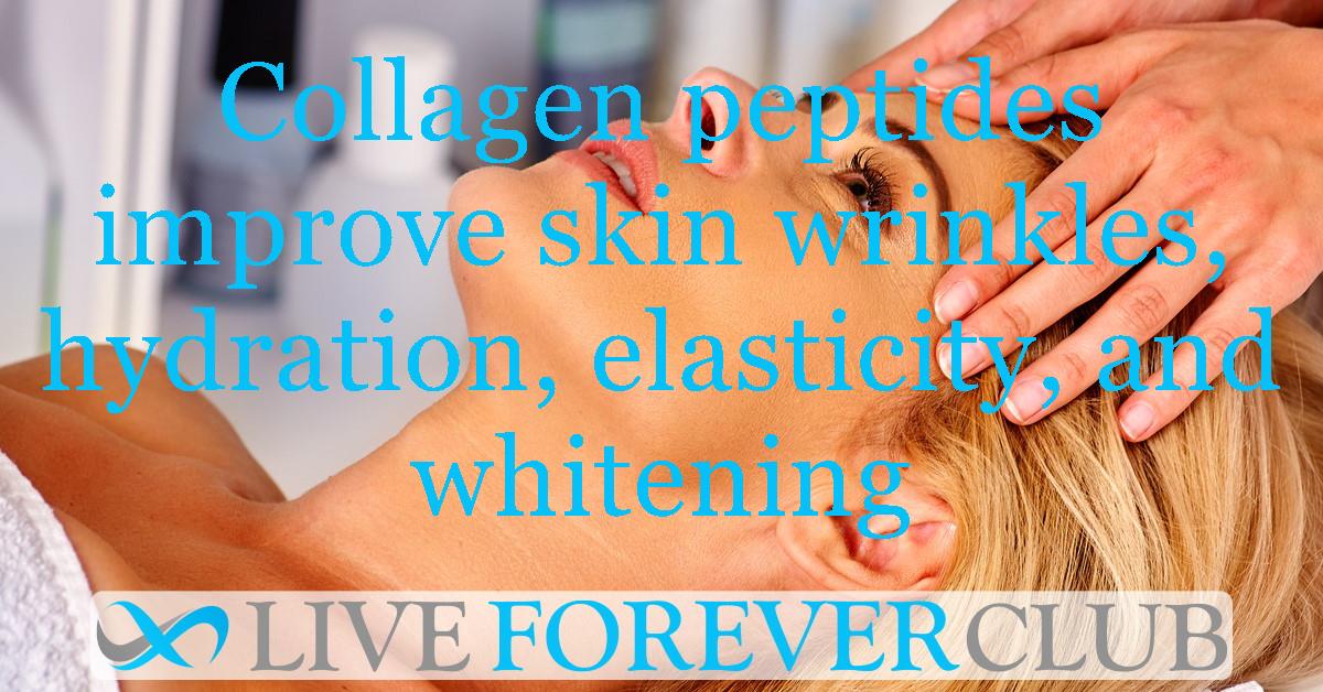 Collagen peptides improve skin wrinkles, hydration, elasticity, and whitening