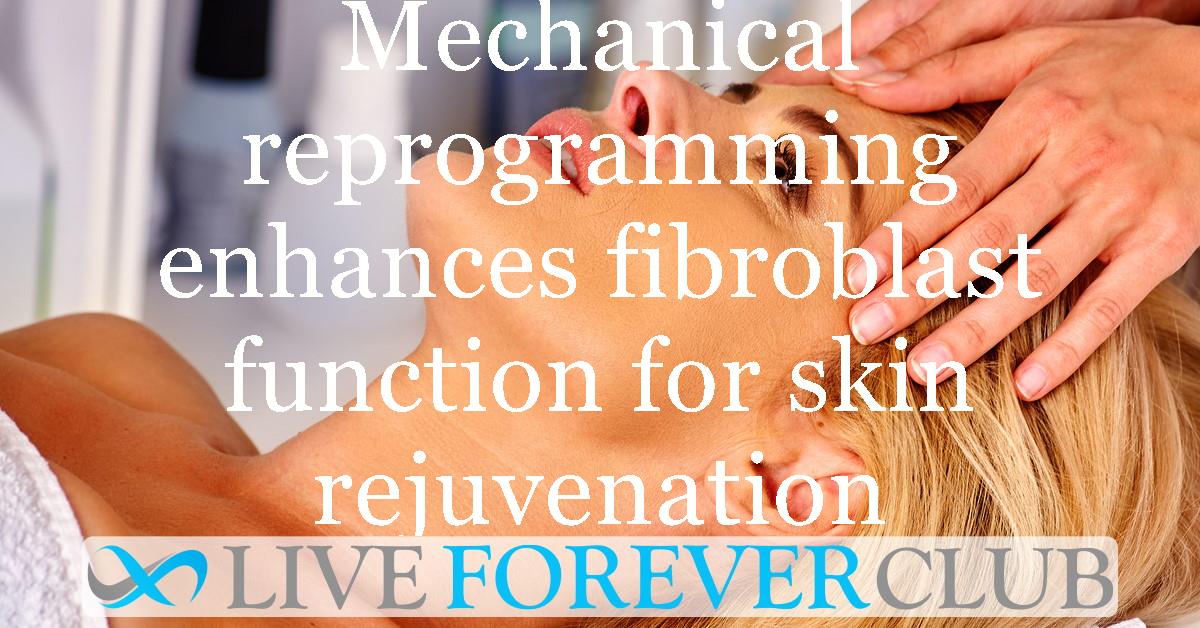 Mechanical reprogramming enhances fibroblast function for skin rejuvenation