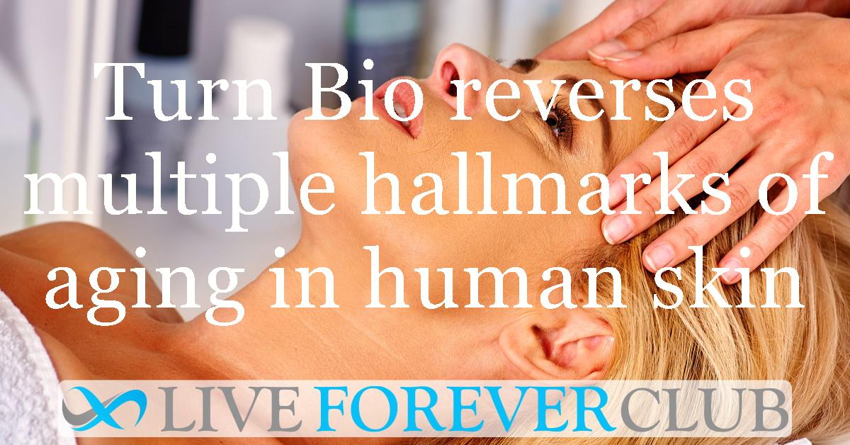 Turn Bio reverses multiple hallmarks of aging in human skin