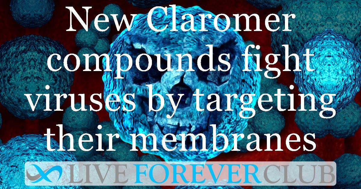 Novel Claromer compounds fight viruses by targeting their protective membranes