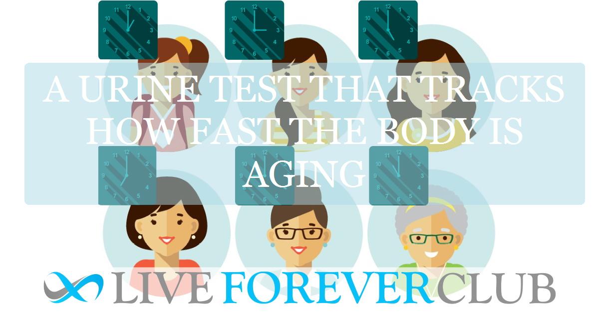 A urine test that tracks how fast the body is aging