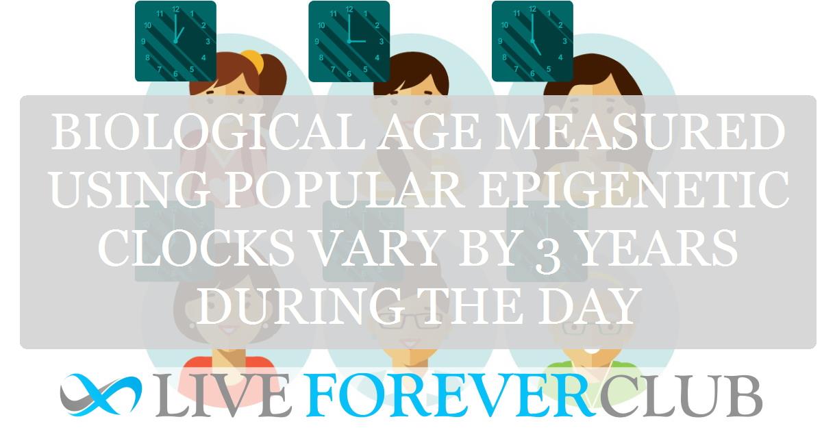 Biological age measured using popular epigenetic clocks vary by 3 years during the day
