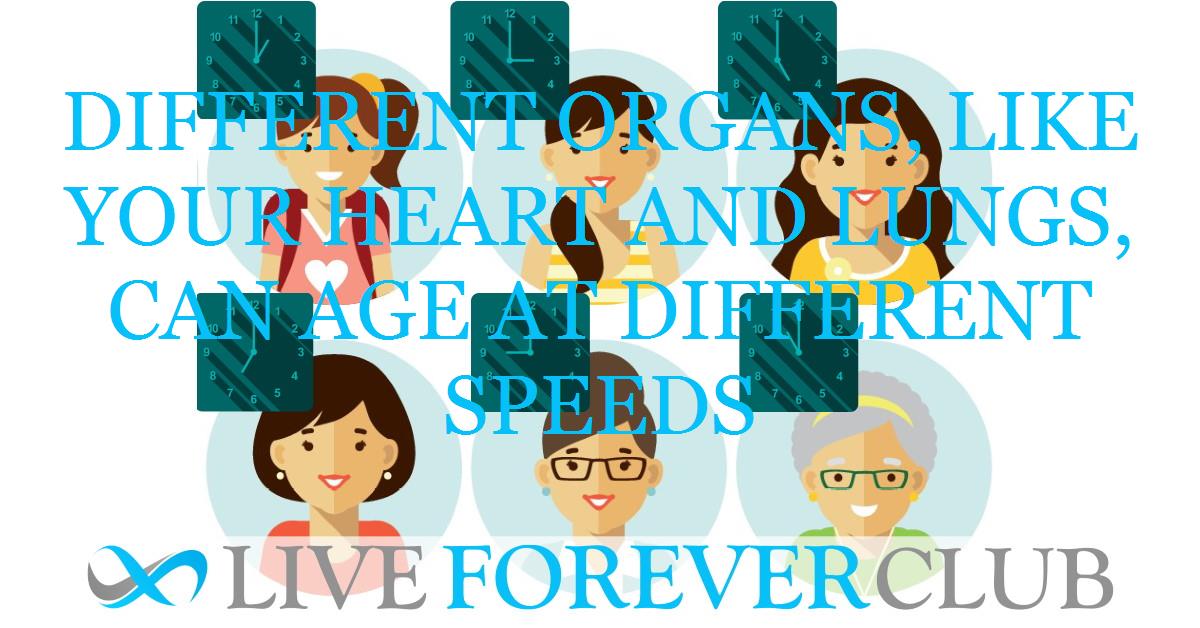 Different organs, like your heart and lungs, can age at different speeds